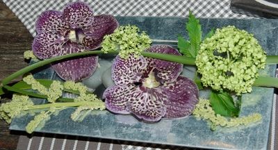 festbord&nbsp;001_400x216